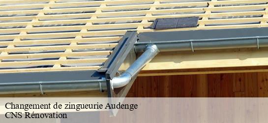 Changement de zingueurie 33980