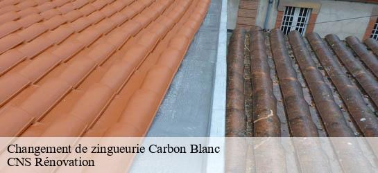 Changement de zingueurie 33560