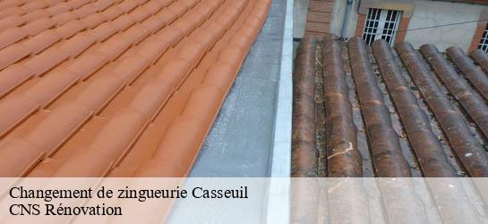 Changement de zingueurie 33190