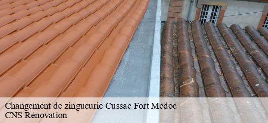 Changement de zingueurie 33460