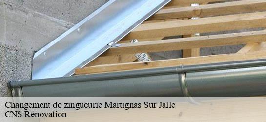 Changement de zingueurie 33127