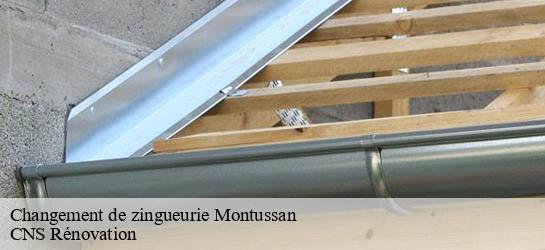 Changement de zingueurie 33450