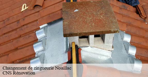 Changement de zingueurie noaillac-33190 CNS Rénovation