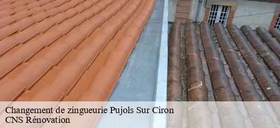 Changement de zingueurie 33210