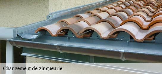 Changement de zingueurie 33670