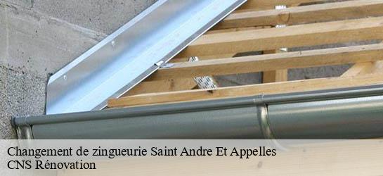 Changement de zingueurie 33220