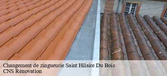 Changement de zingueurie 33540