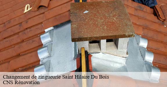 Changement de zingueurie saint-hilaire-du-bois-33540 CNS Rénovation