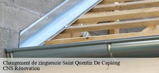 Changement de zingueurie 33220