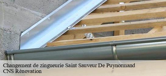 Changement de zingueurie 33660