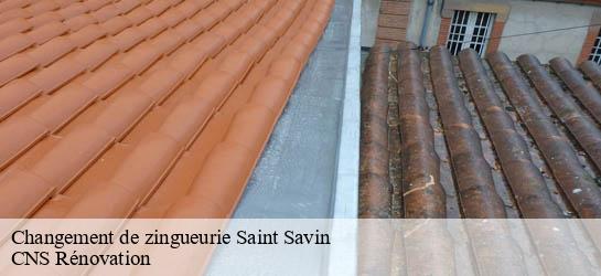 Changement de zingueurie 33920