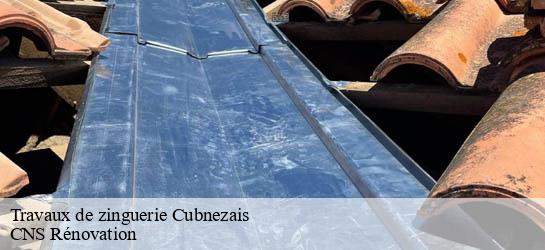 Travaux de zinguerie 33620