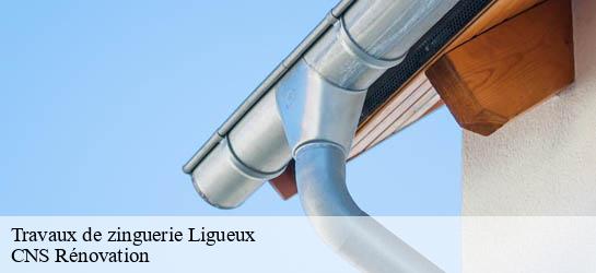 Travaux de zinguerie 33220