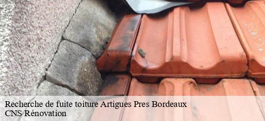 Recherche de fuite toiture 33370