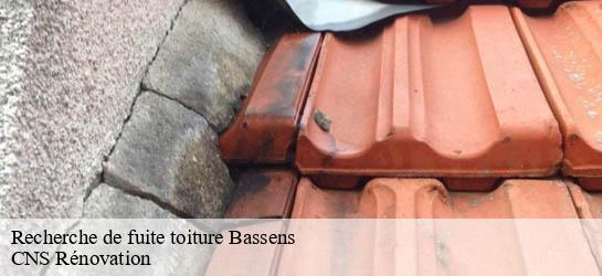 Recherche de fuite toiture 33530