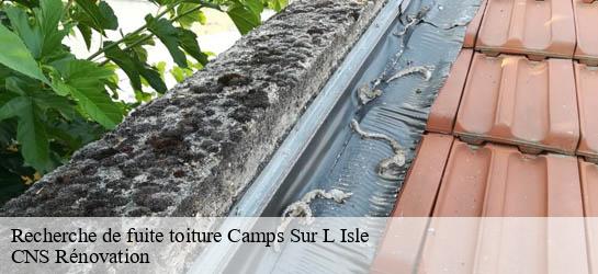 Recherche de fuite toiture 33660