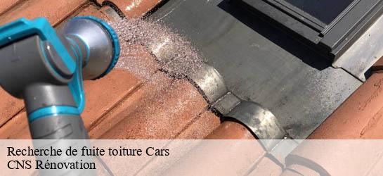 Recherche de fuite toiture 33390