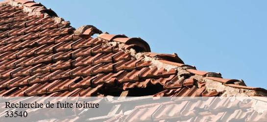 Recherche de fuite toiture 33540