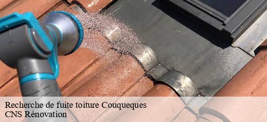 Recherche de fuite toiture 33340