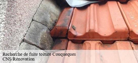 Recherche de fuite toiture 33340