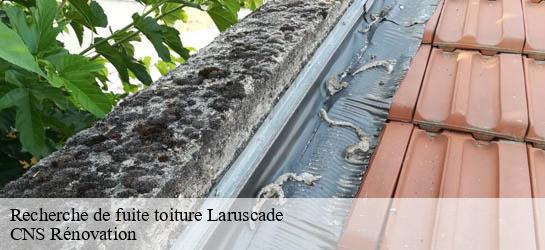 Recherche de fuite toiture 33620