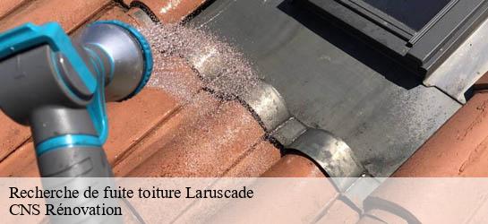 Recherche de fuite toiture 33620