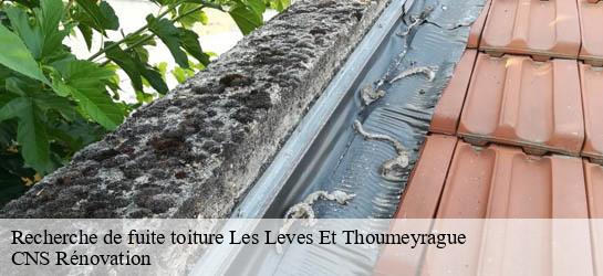 Recherche de fuite toiture 33220