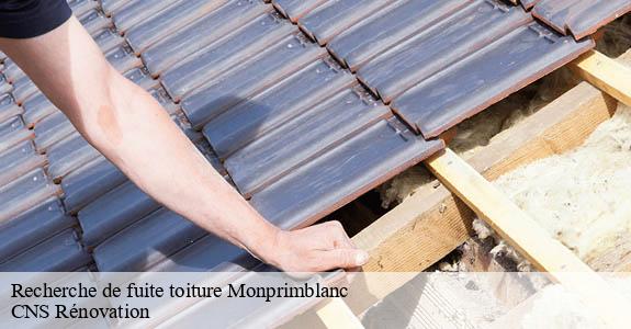 Recherche de fuite toiture monprimblanc-33410 CNS Rénovation