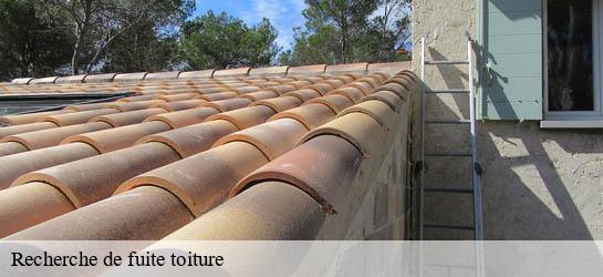 Recherche de fuite toiture 33990