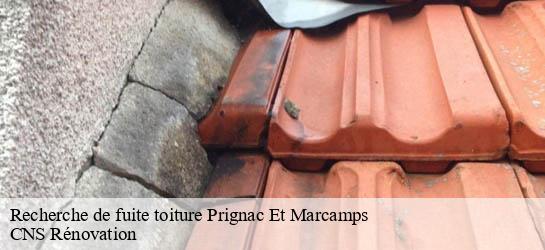 Recherche de fuite toiture 33710