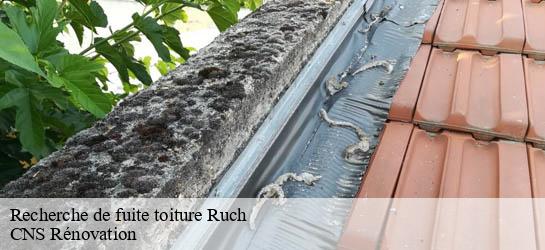 Recherche de fuite toiture 33350