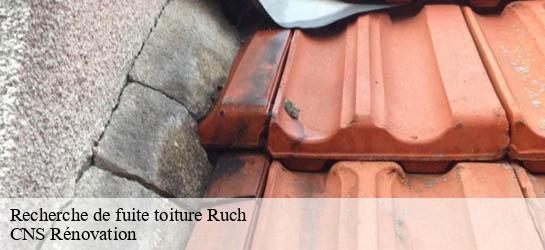 Recherche de fuite toiture 33350