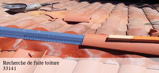 Recherche de fuite toiture 33141