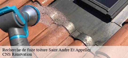 Recherche de fuite toiture 33220