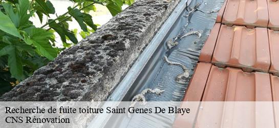 Recherche de fuite toiture 33390