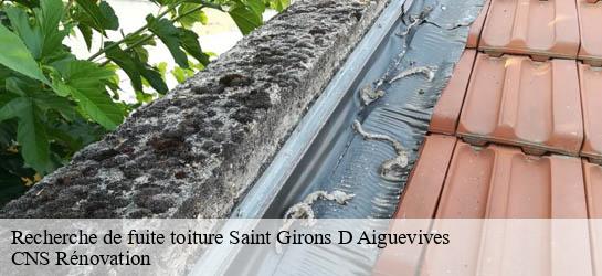 Recherche de fuite toiture 33920