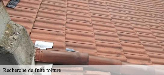 Recherche de fuite toiture 33490