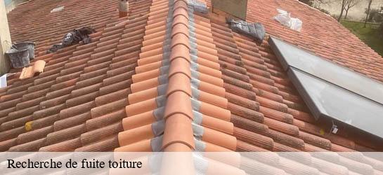 Recherche de fuite toiture 33710
