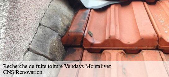 Recherche de fuite toiture 33930