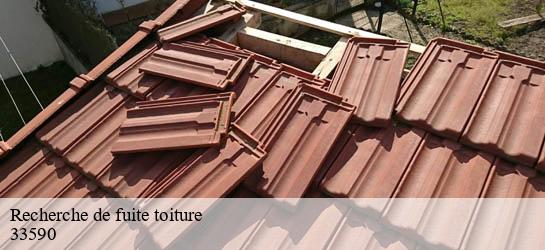 Recherche de fuite toiture 33590