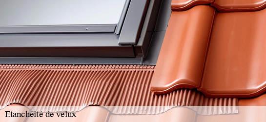 Etanchéité de velux 33220