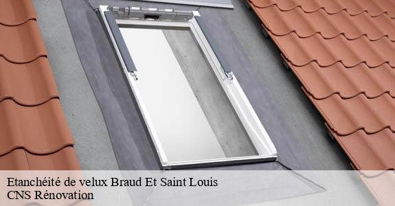 Etanchéité de velux braud-et-saint-louis-33820 CNS Rénovation