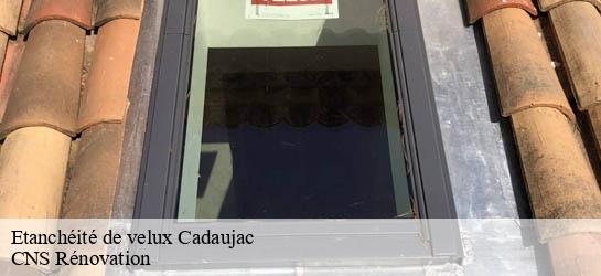 Etanchéité de velux 33140