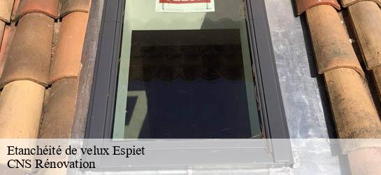 Etanchéité de velux 33420