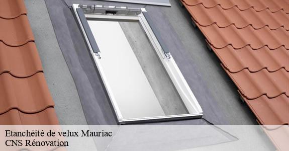 Etanchéité de velux mauriac-33540 CNS Rénovation