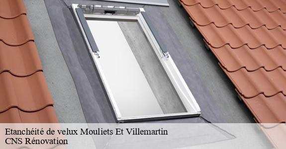 Etanchéité de velux mouliets-et-villemartin-33350 CNS Rénovation