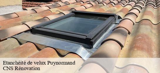 Etanchéité de velux 33660