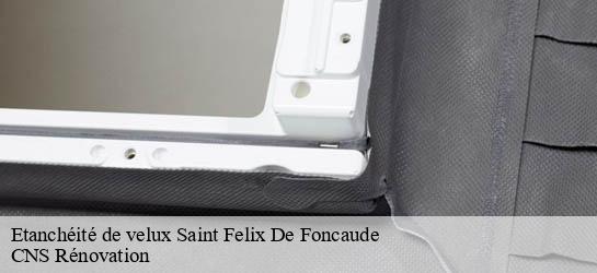 Etanchéité de velux 33540