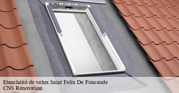 Etanchéité de velux saint-felix-de-foncaude-33540 CNS Rénovation
