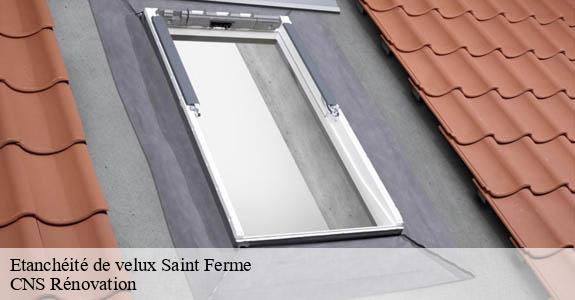 Etanchéité de velux saint-ferme-33580 CNS Rénovation